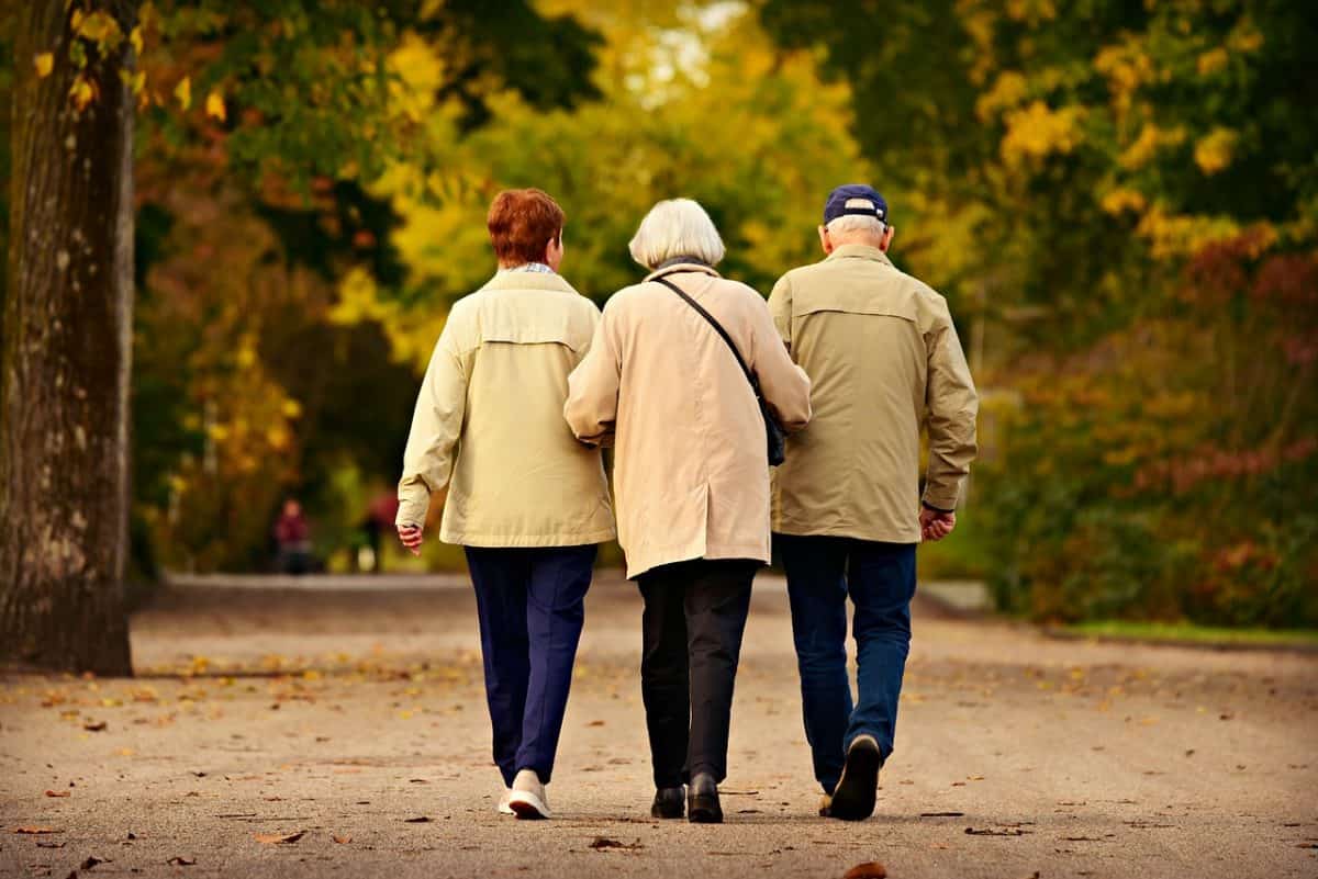 Read more about the article NYC ELDER LAW ATTORNEY